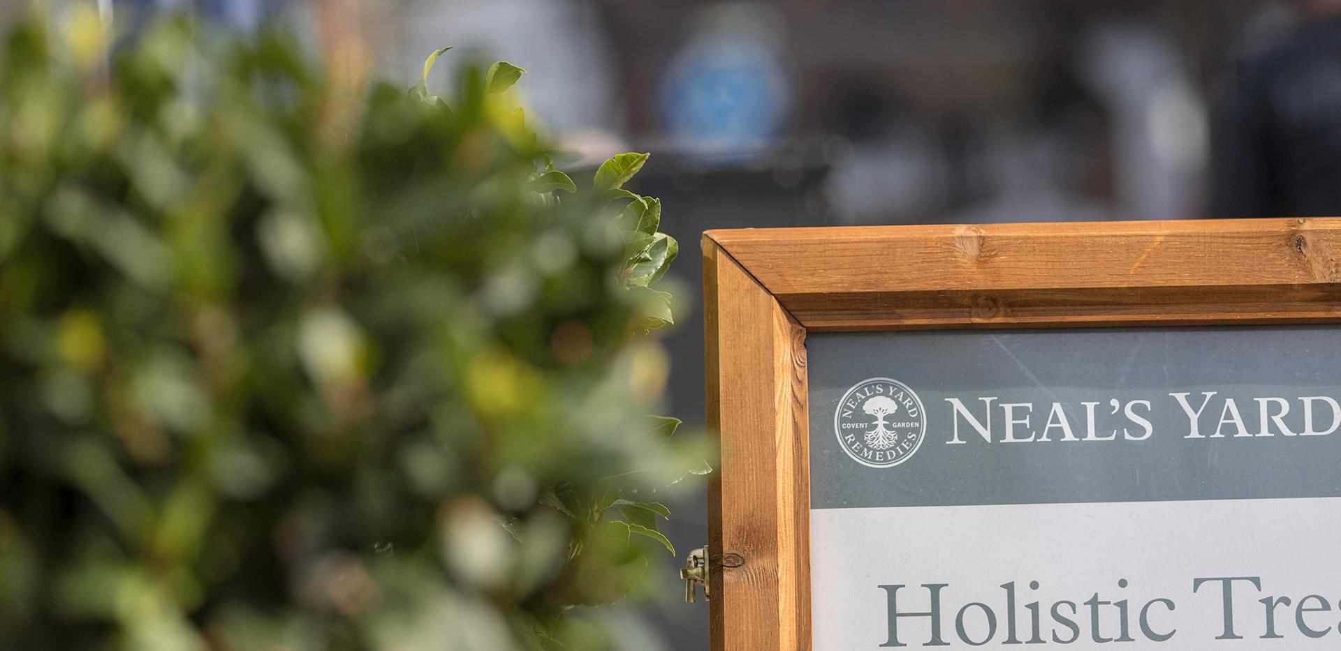 Berkeley, Wimbledon Hill Park, Local Area