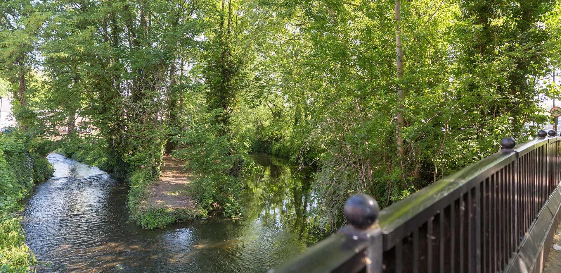 Berkeley, 17-51 London Road, Local Area