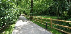 Pathway to Cottenham Park Road