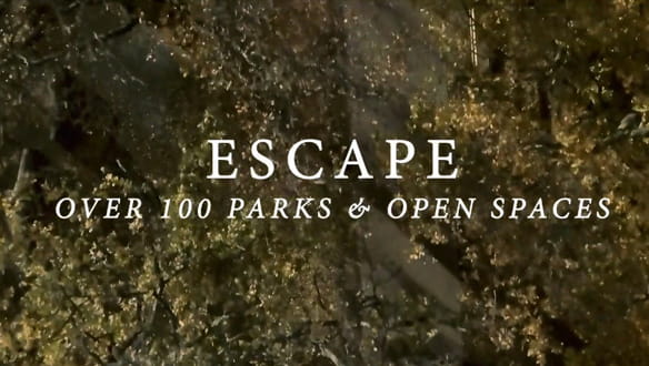 St George, Filmworks, Bogart House, Property 79