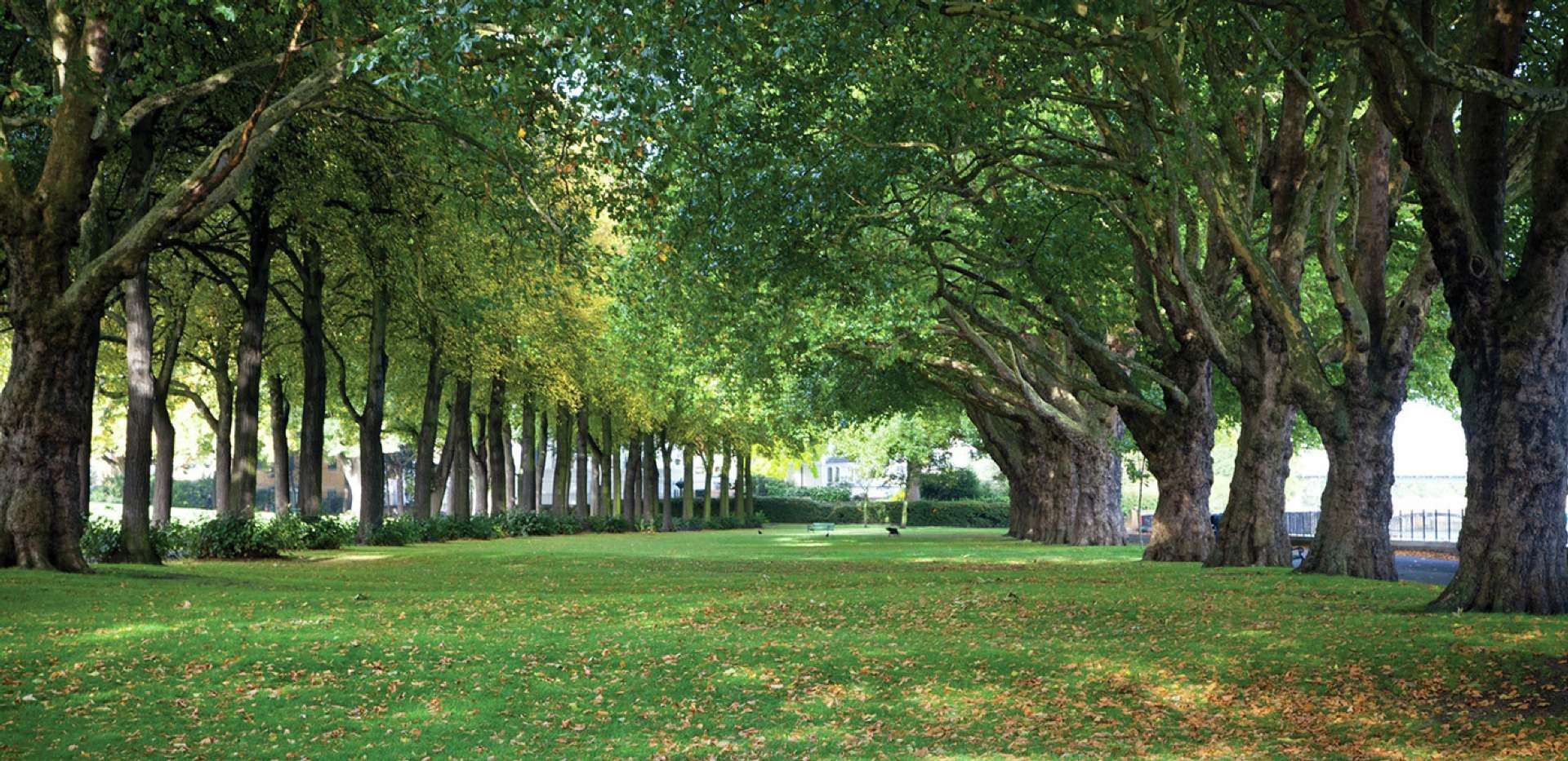 St James, Langham Square, Park, Local Area