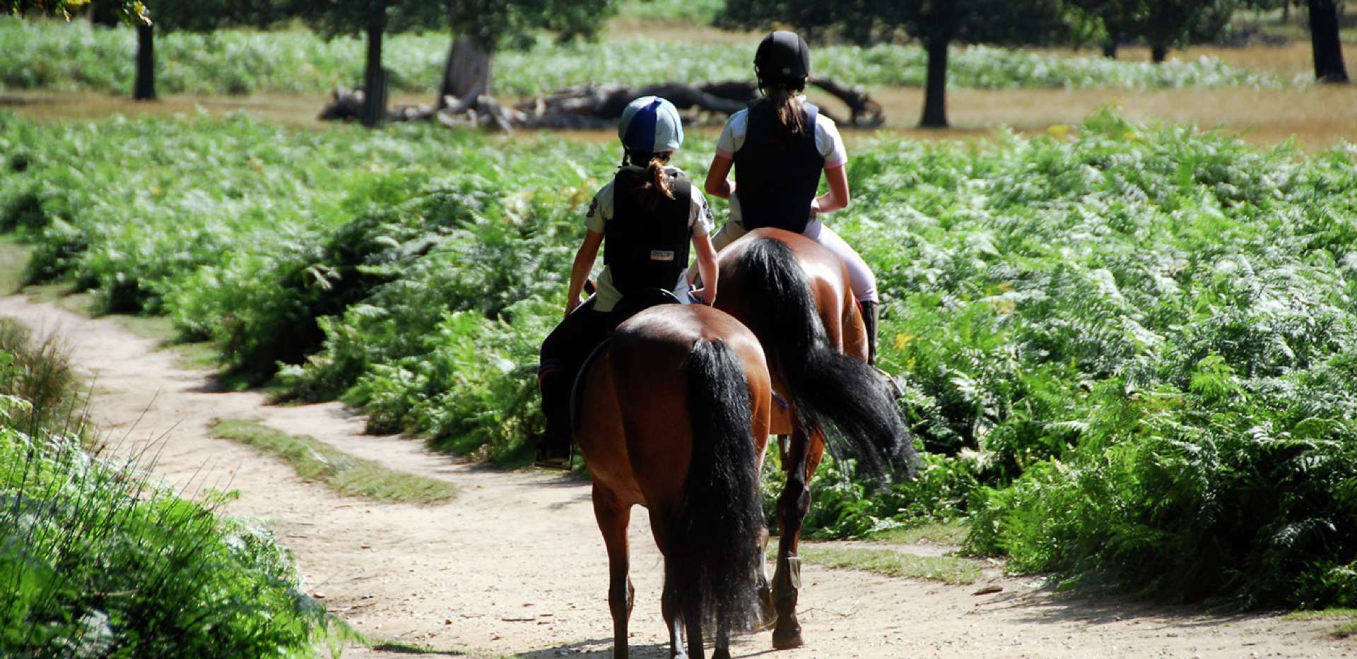 St James, Queen Mary's Place, Richmond Park, Local Area