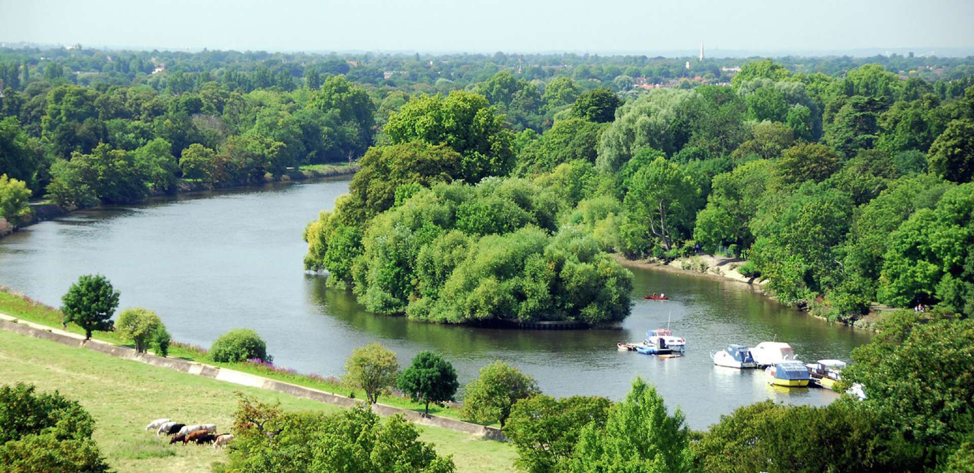 St James, Queen Mary's Place, Richmond Town, River Thames, Local Area