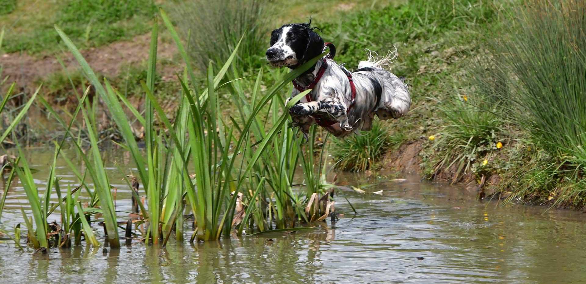 Berkeley, Woodhurst Park, Country Park