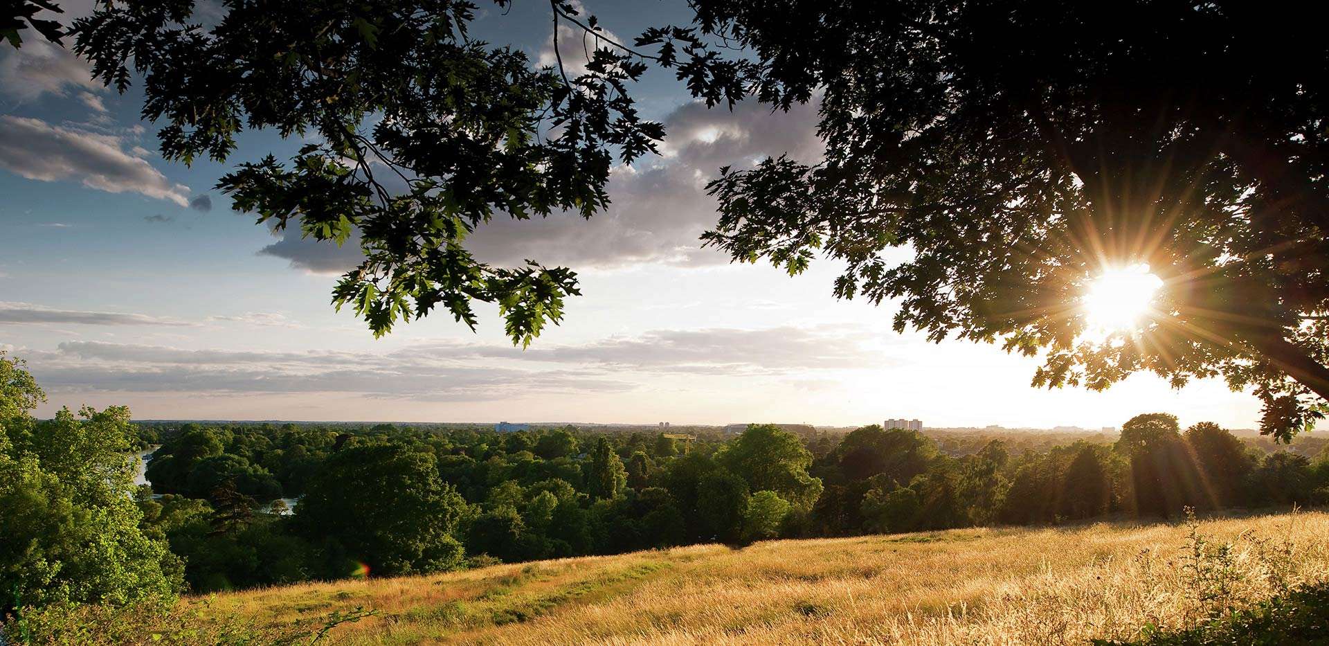 St James, Brewery Wharf, Park, Local Area