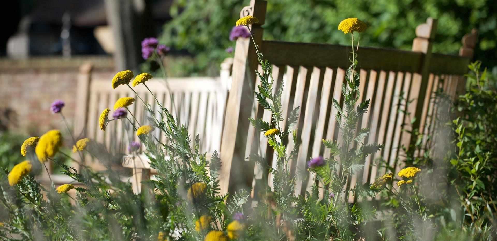 St William, The Arches, Local Area