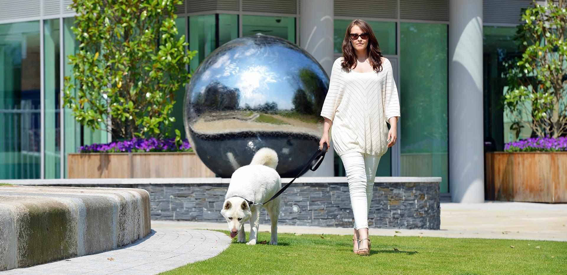 Berkeley, Woodberry Down, Local Area, Dog