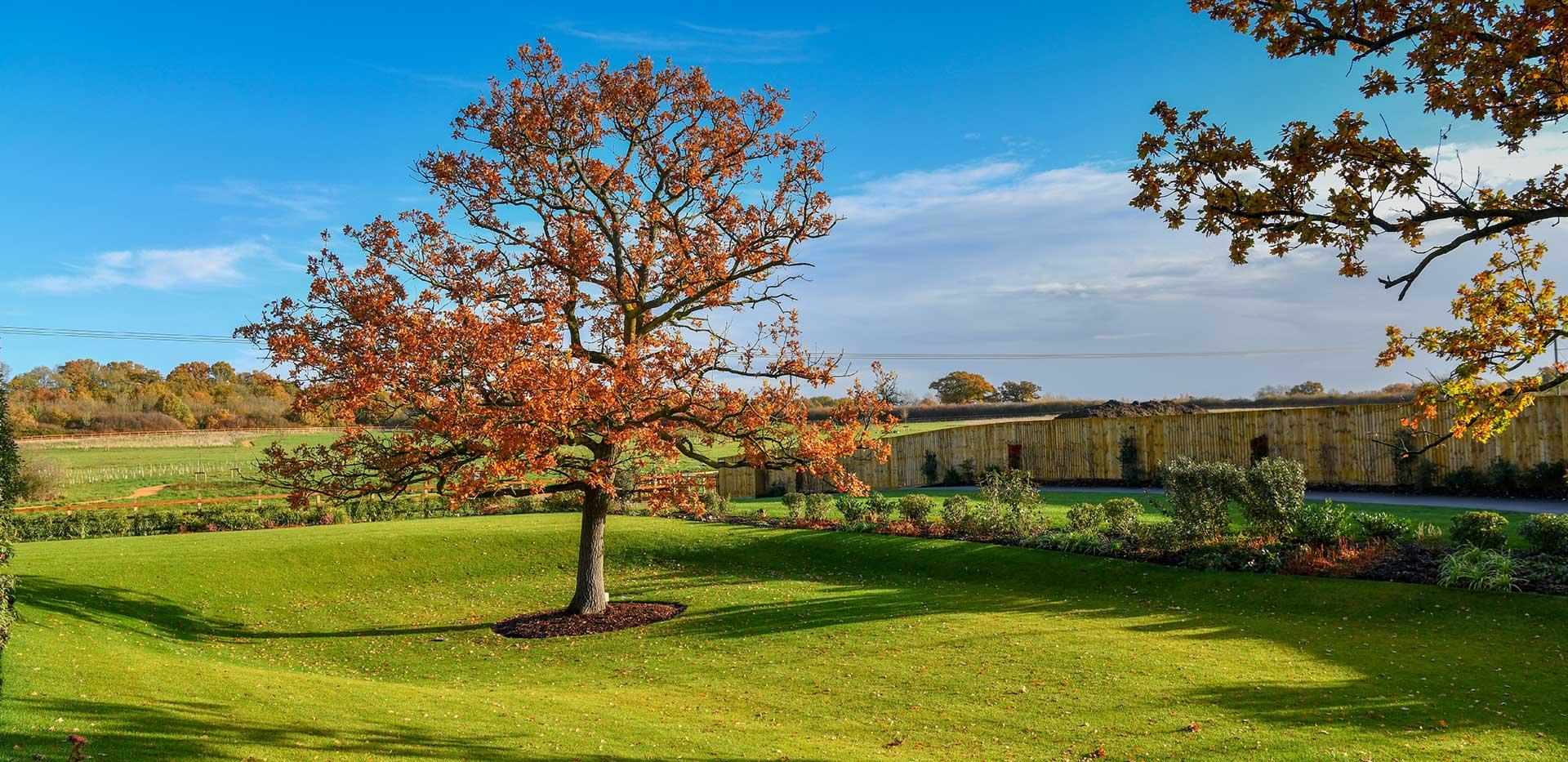 Eldridge Park Homes All Sold Wokingham Berkeley Group