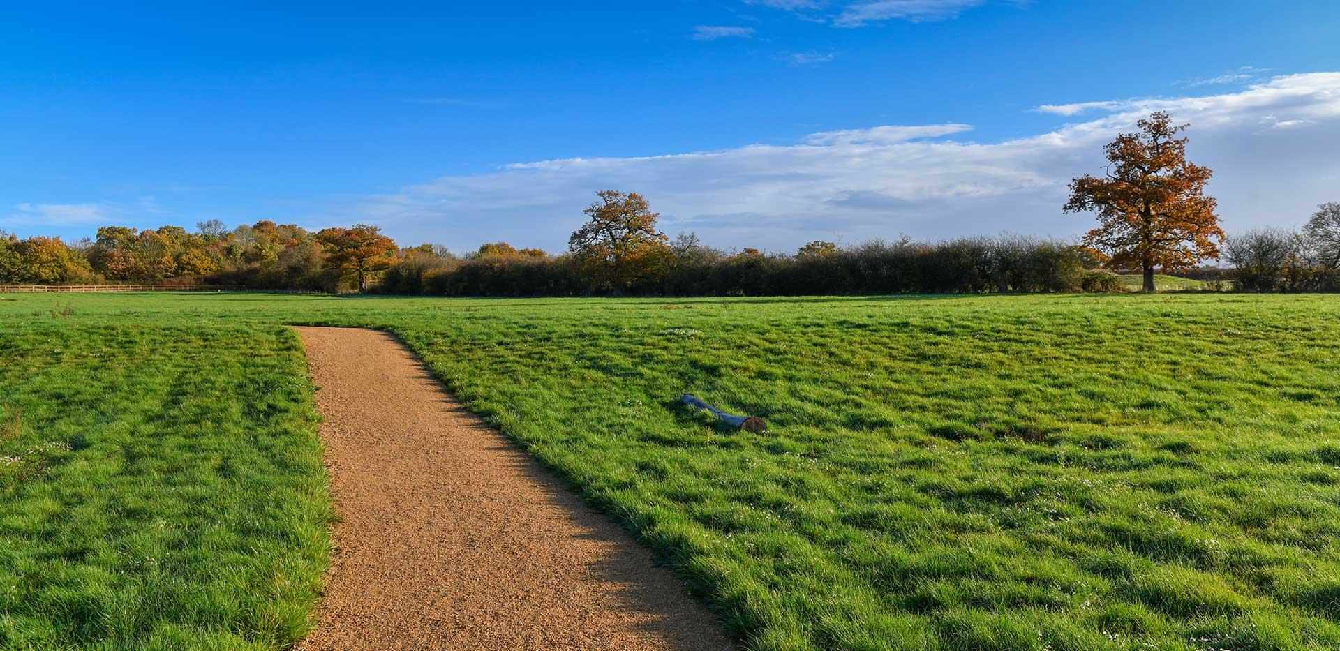 Berkeley, Eldridge Park, Country Park Scenery