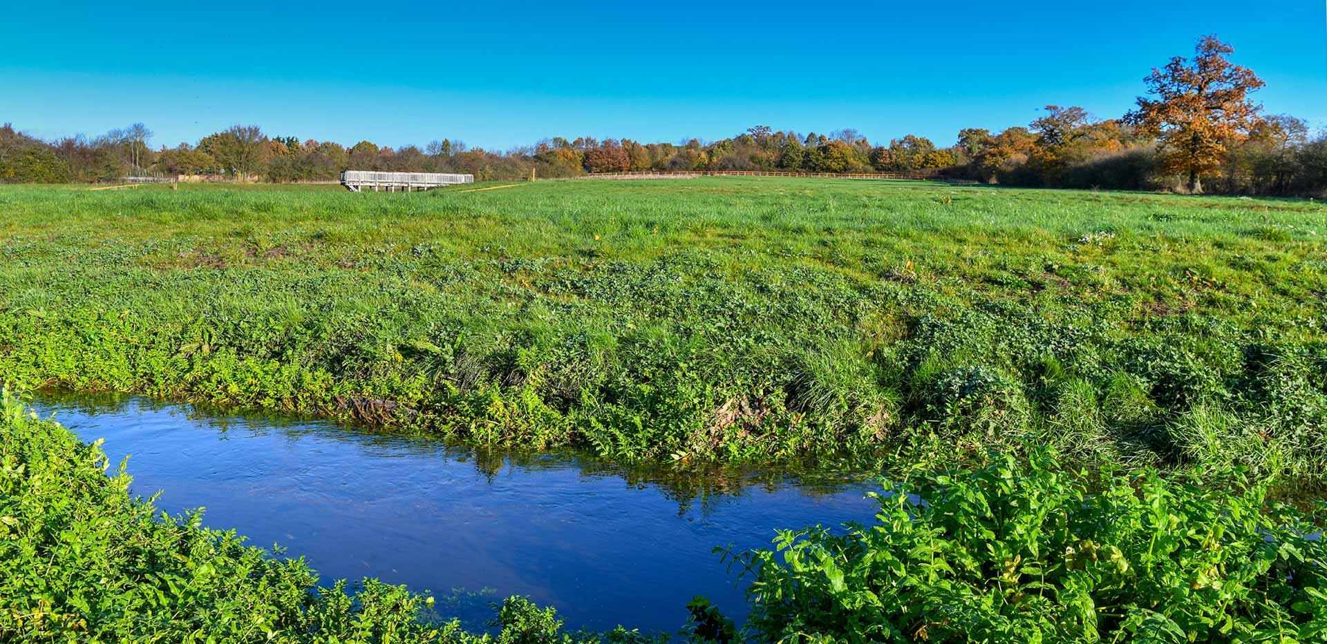 Berkeley, Eldridge Park, Country Park Scenery