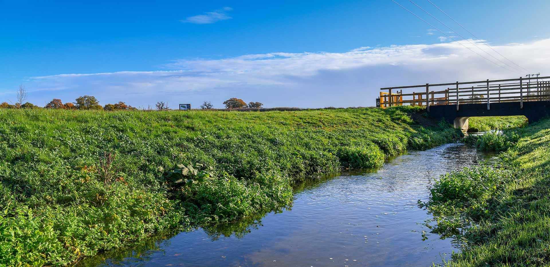 Berkeley, Eldridge Park, Country Park Scenery