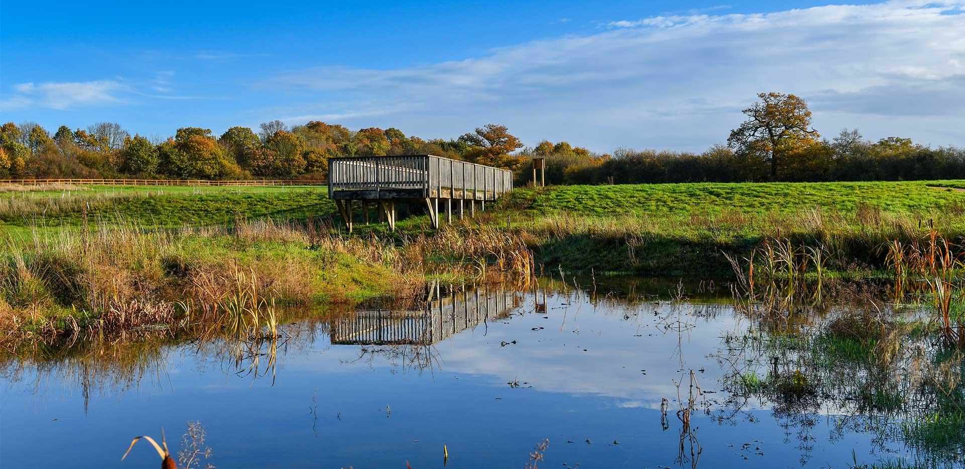 Berkeley, Eldridge Park, Country Park Scenery