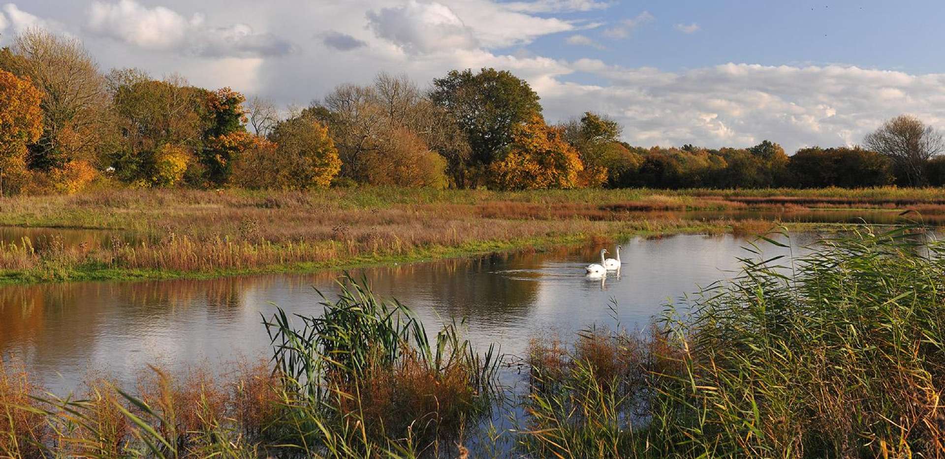 Berkeley, Edenbrook, Lake, Park, Local Area