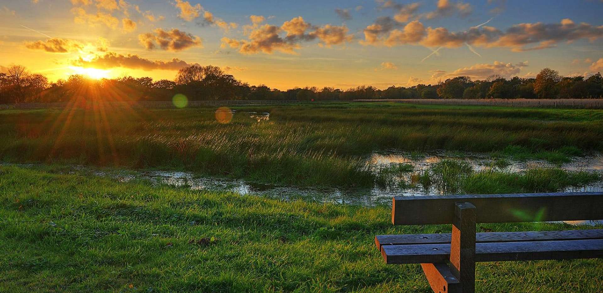 Berkeley, Edenbrook, Lake, Park, Local Area