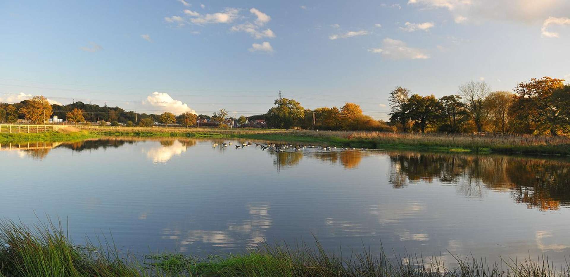 Berkeley, Edenbrook, Lake, Park, Local Area