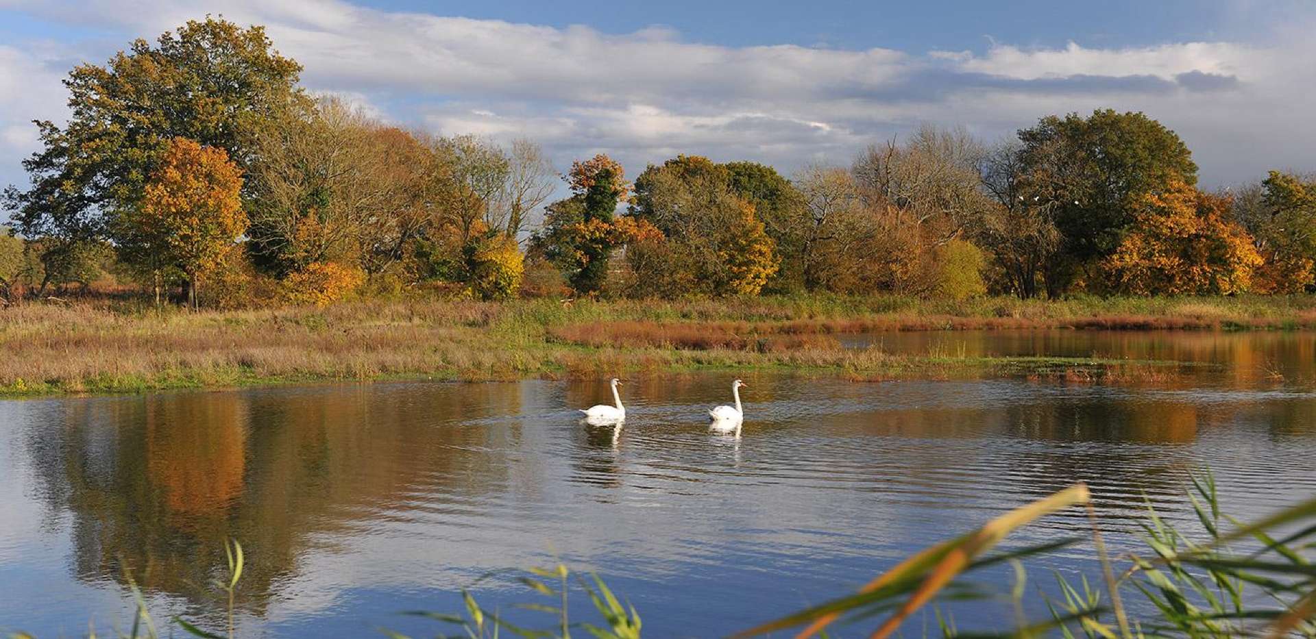 Berkeley, Edenbrook, Lake, Park, Local Area