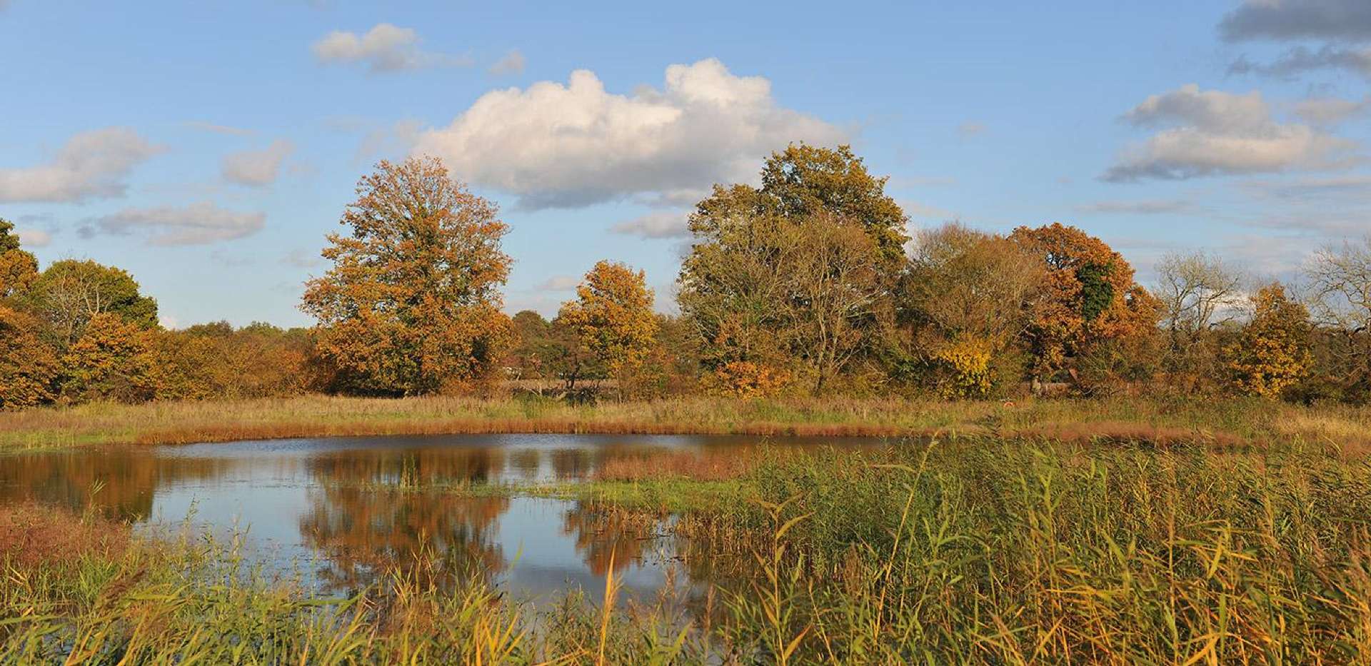 Berkeley, Edenbrook, Lake, Park, Local Area