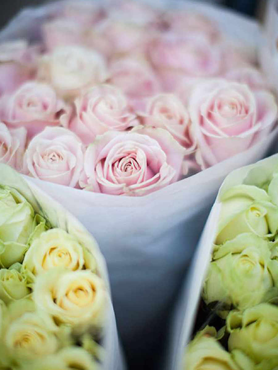 St James, Moore House, Florist, Local Area