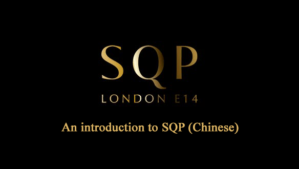 South Quay Plaza Introduction (Chinese)