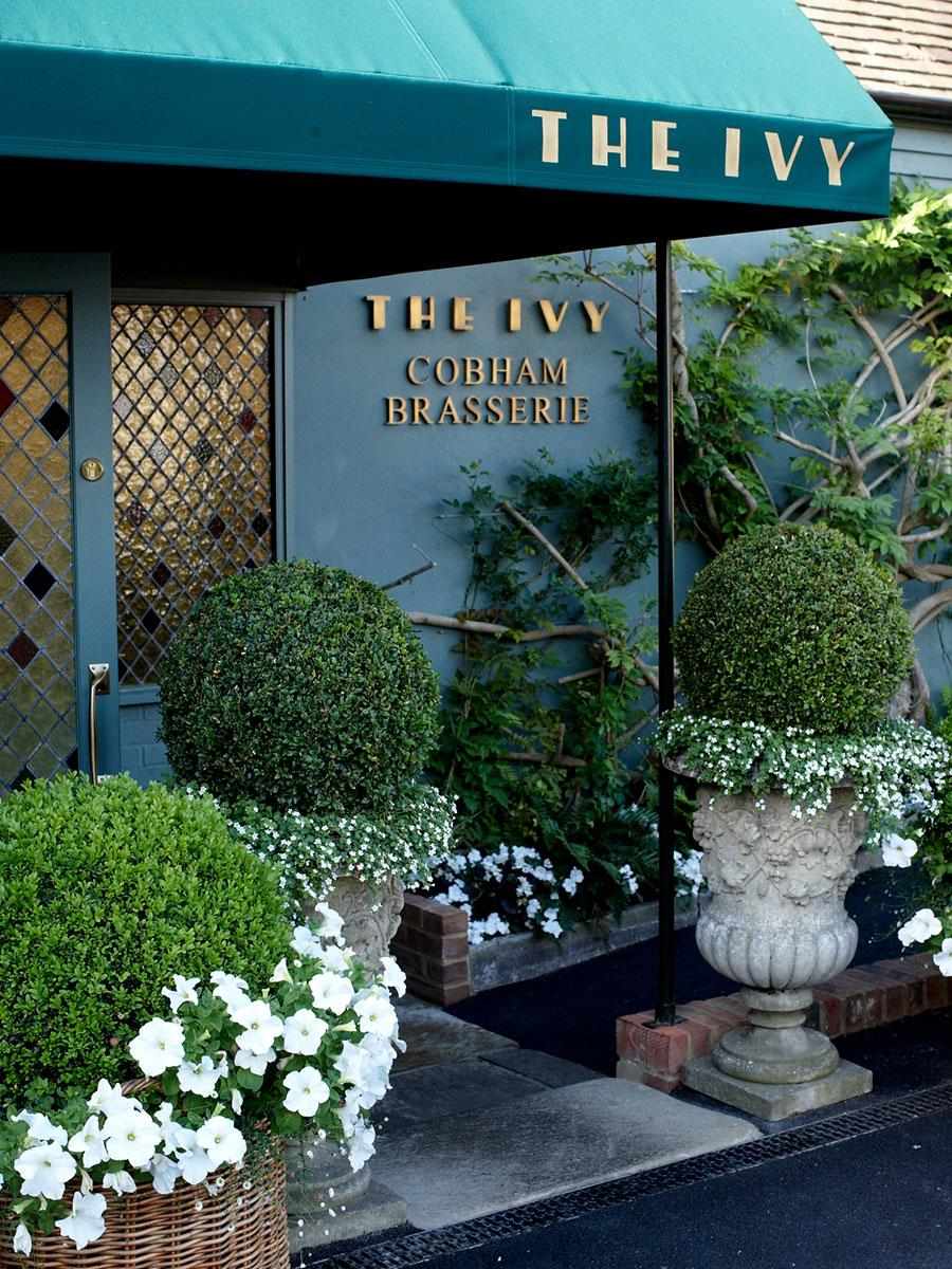 Berkeley, Princes Chase, Local Area, The Ivy