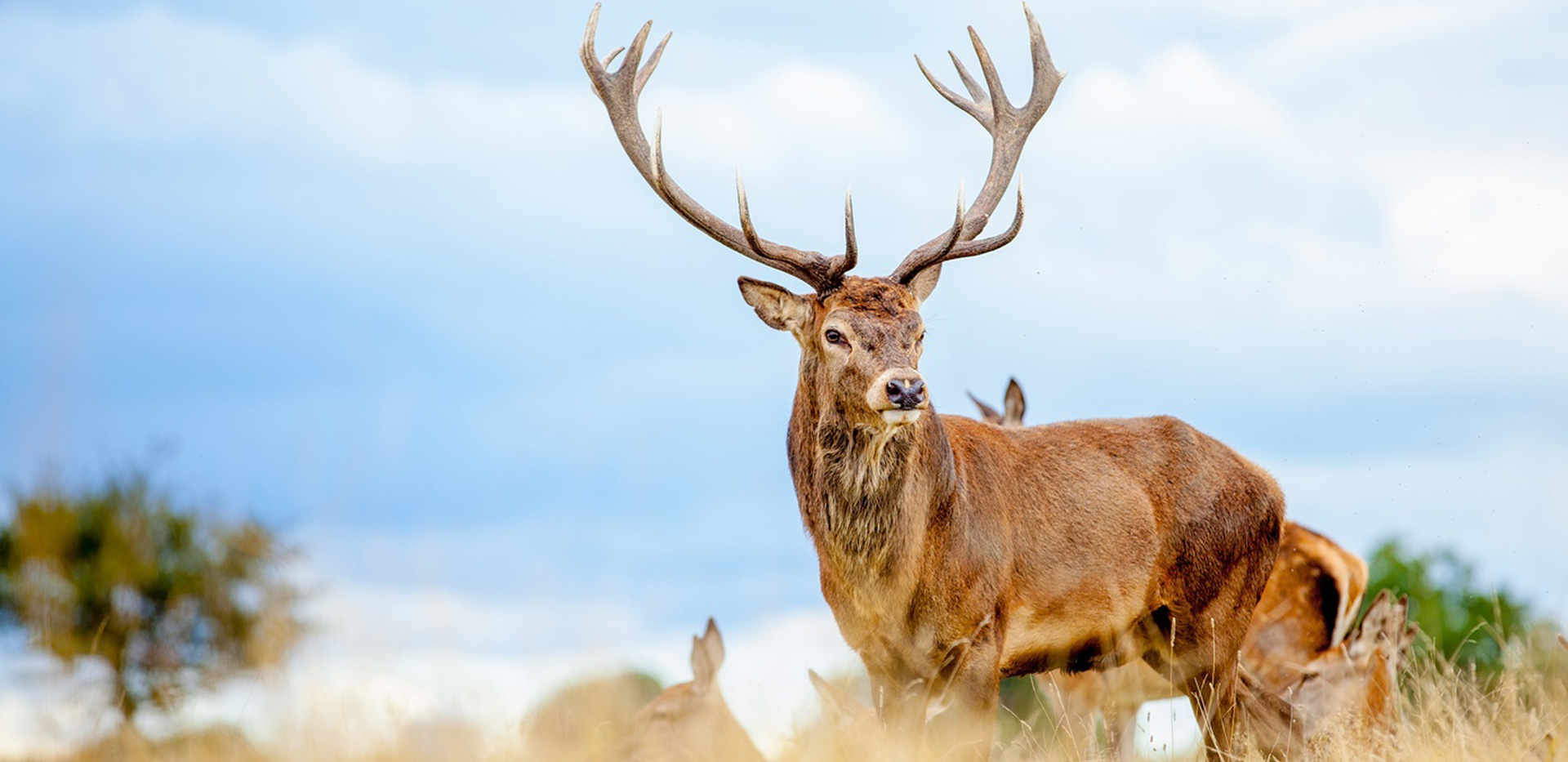 Berkeley, Richmond Chase, Local Area, Wildlife