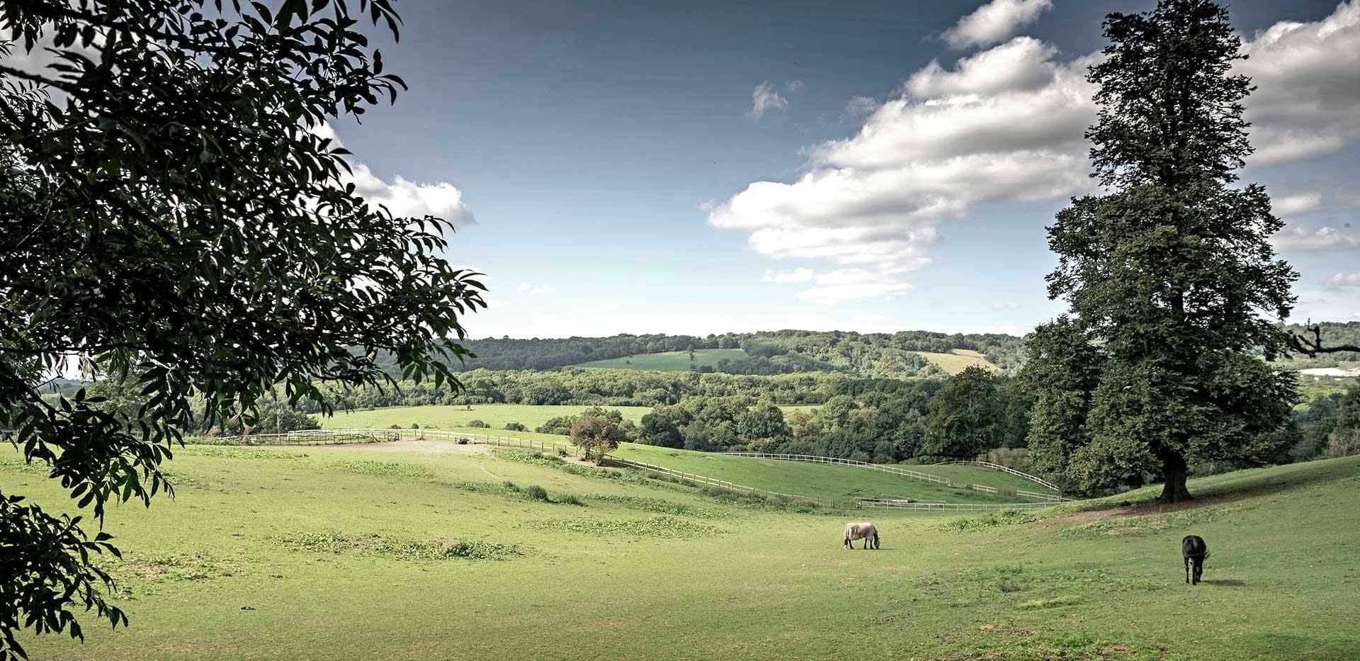 St William, Courtyard Gardens, Local Area