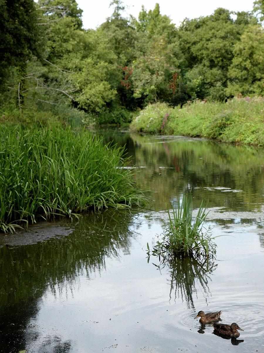 St William, Courtyard Gardens, Local Area