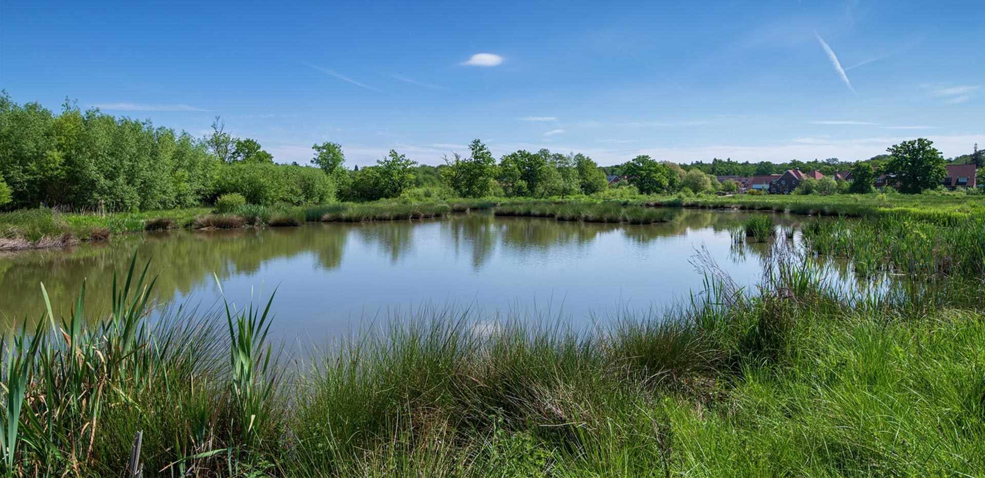 Berkeley, Edenbrook Village, Local Area, Country Park