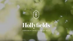 Berkeley, Hollyfields, Overview