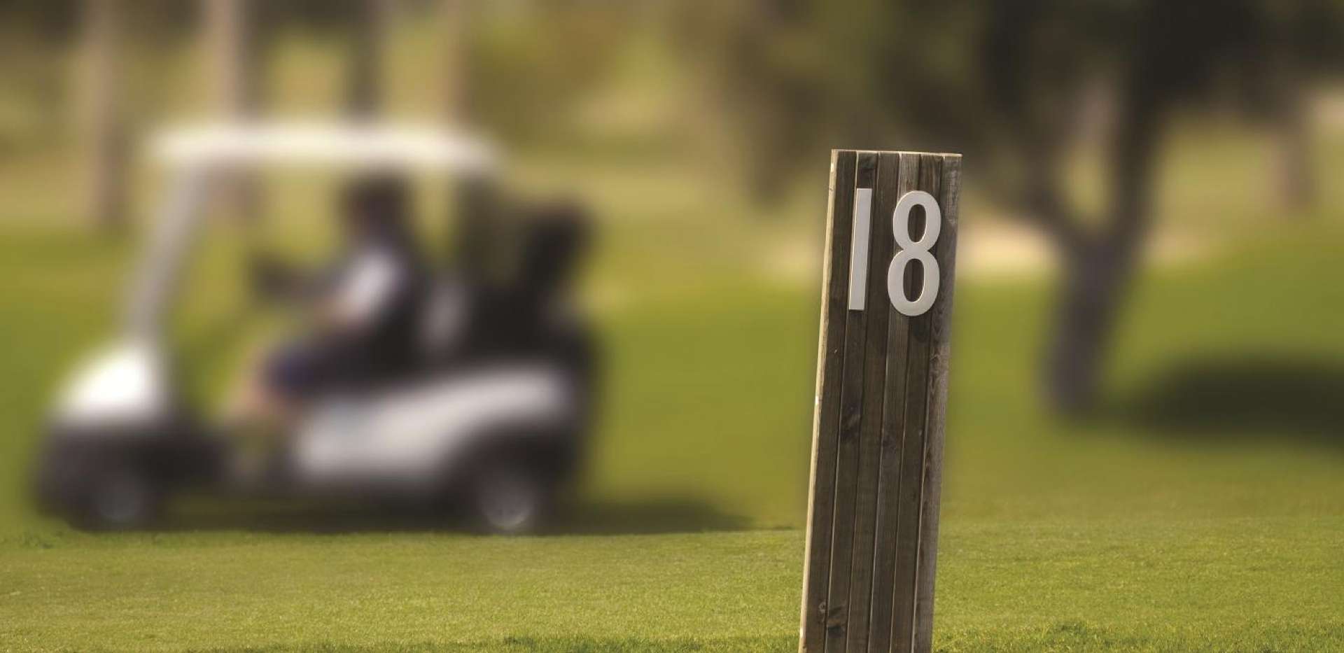 Berkeley, Marryat Place, Golf, Local Area