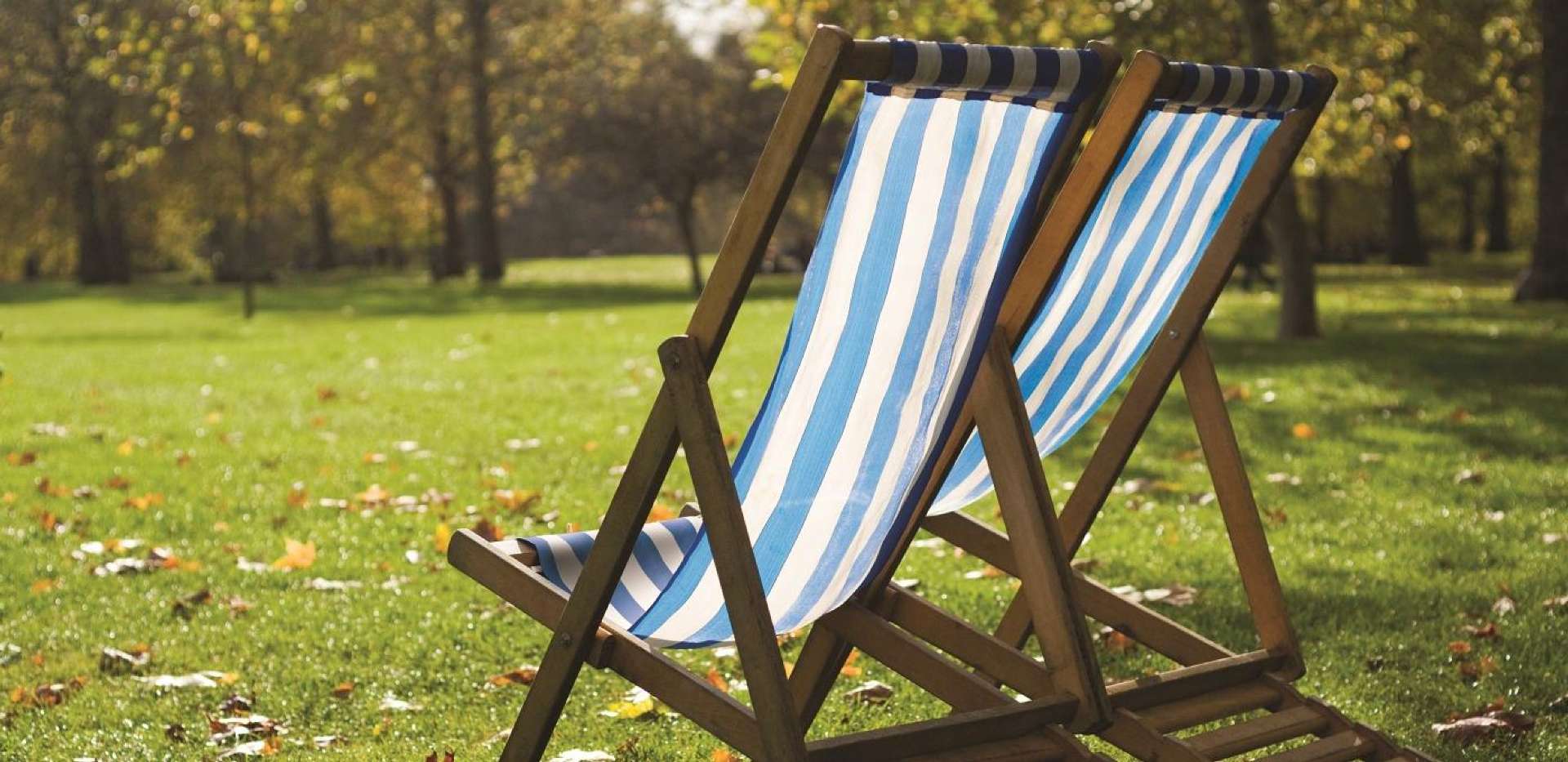 Berkeley, Marryat Place, Park, Local Area