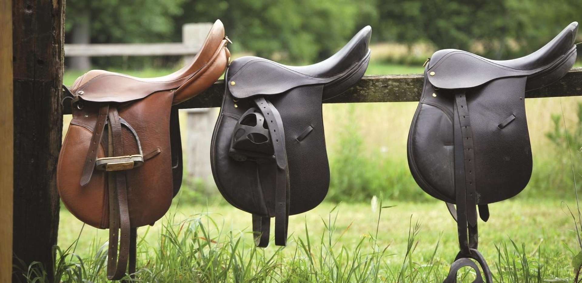 Berkeley, Fairmile Gate, Cobham, Saddles