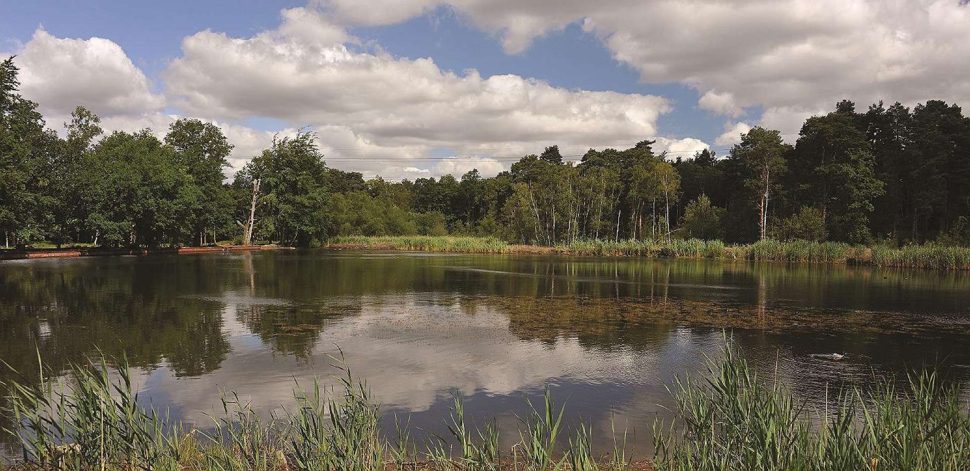 Albury Place Homes All Sold Claygate Village Berkeley