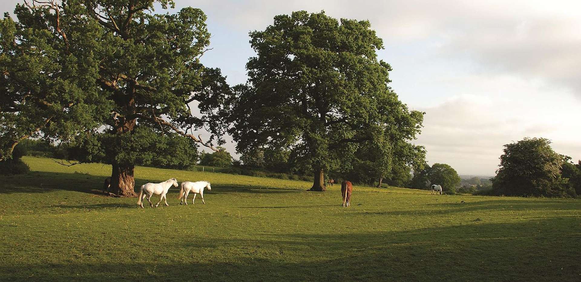 Albury Place Homes All Sold Claygate Village Berkeley