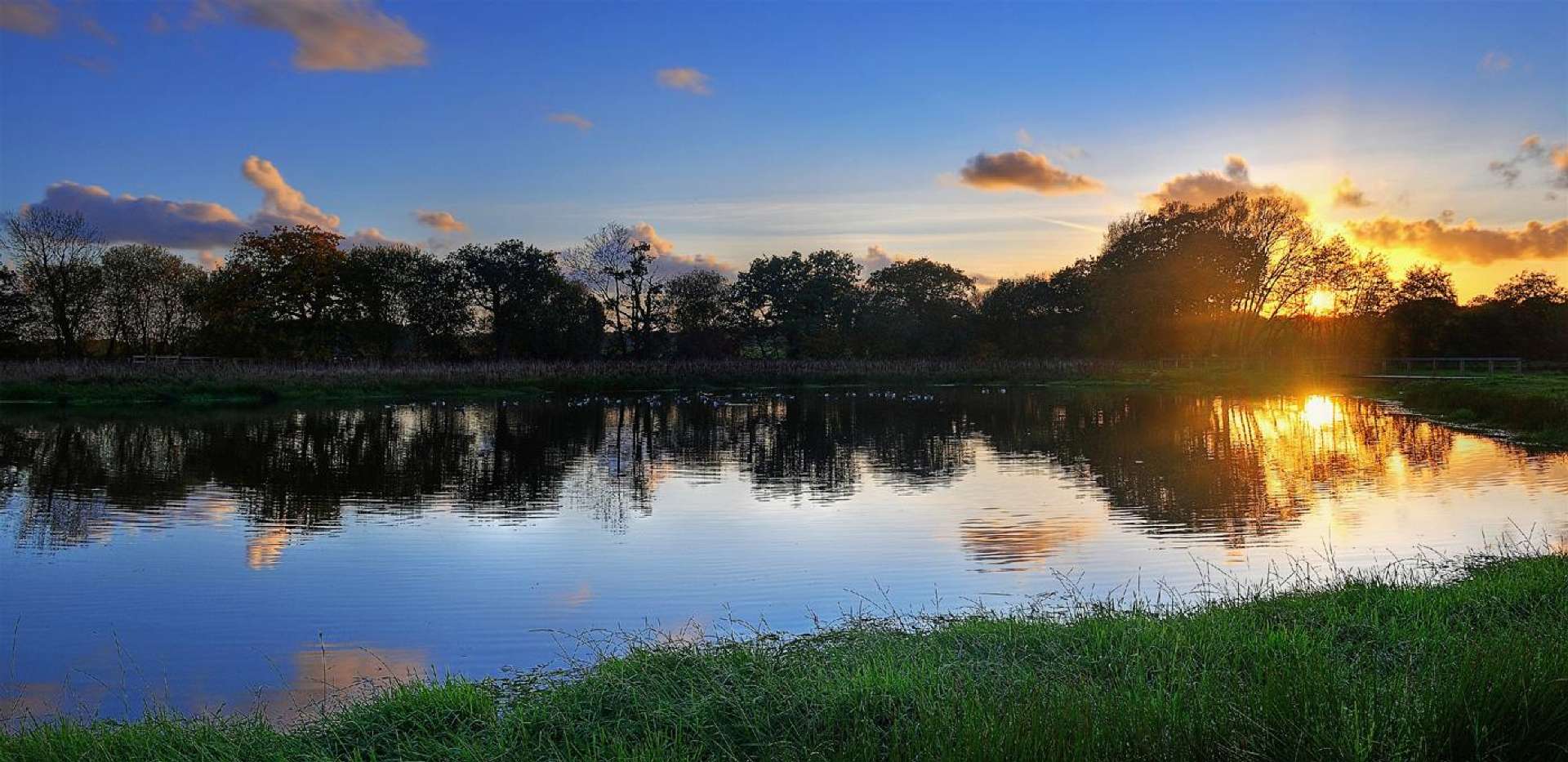 Berkeley, Edenbrook, Fleet, Local Area, Pond