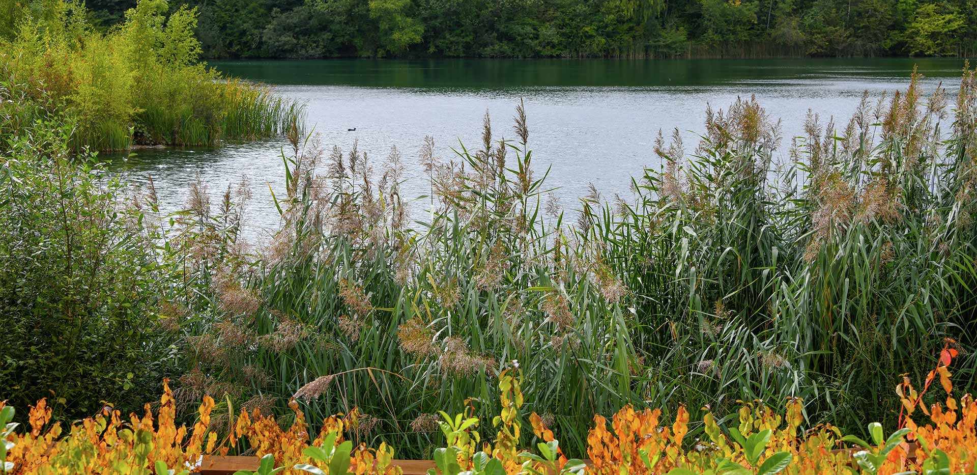 Berkeley, Holborough Lakes, Interior, Lakeview