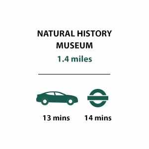 Kings Road Park, Culture, Natural History Museum