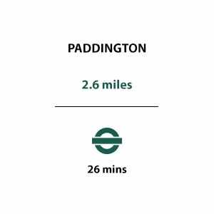 Kings Road Park, Transport, Paddington