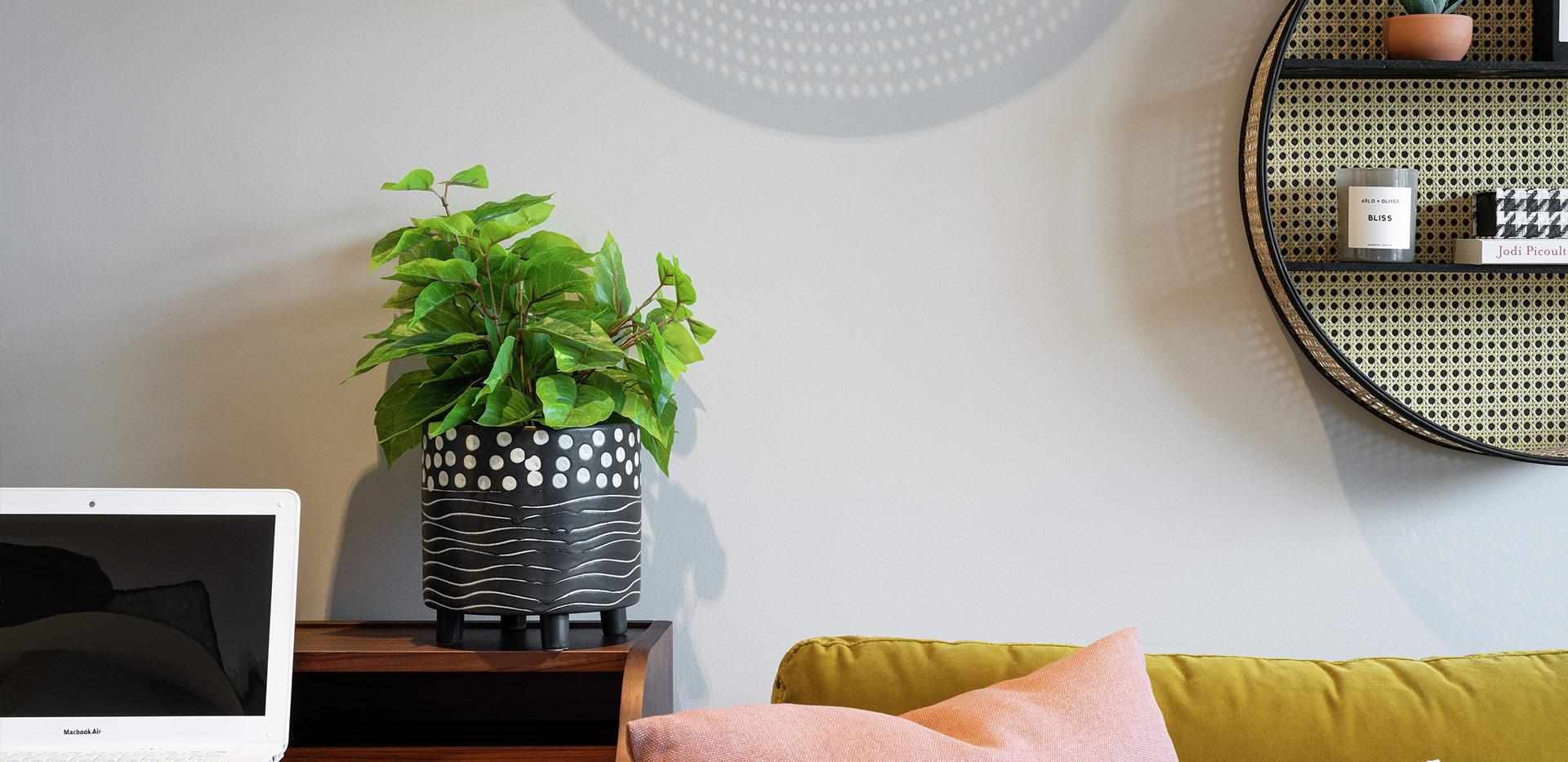 St William, Fairwood Place, Desk