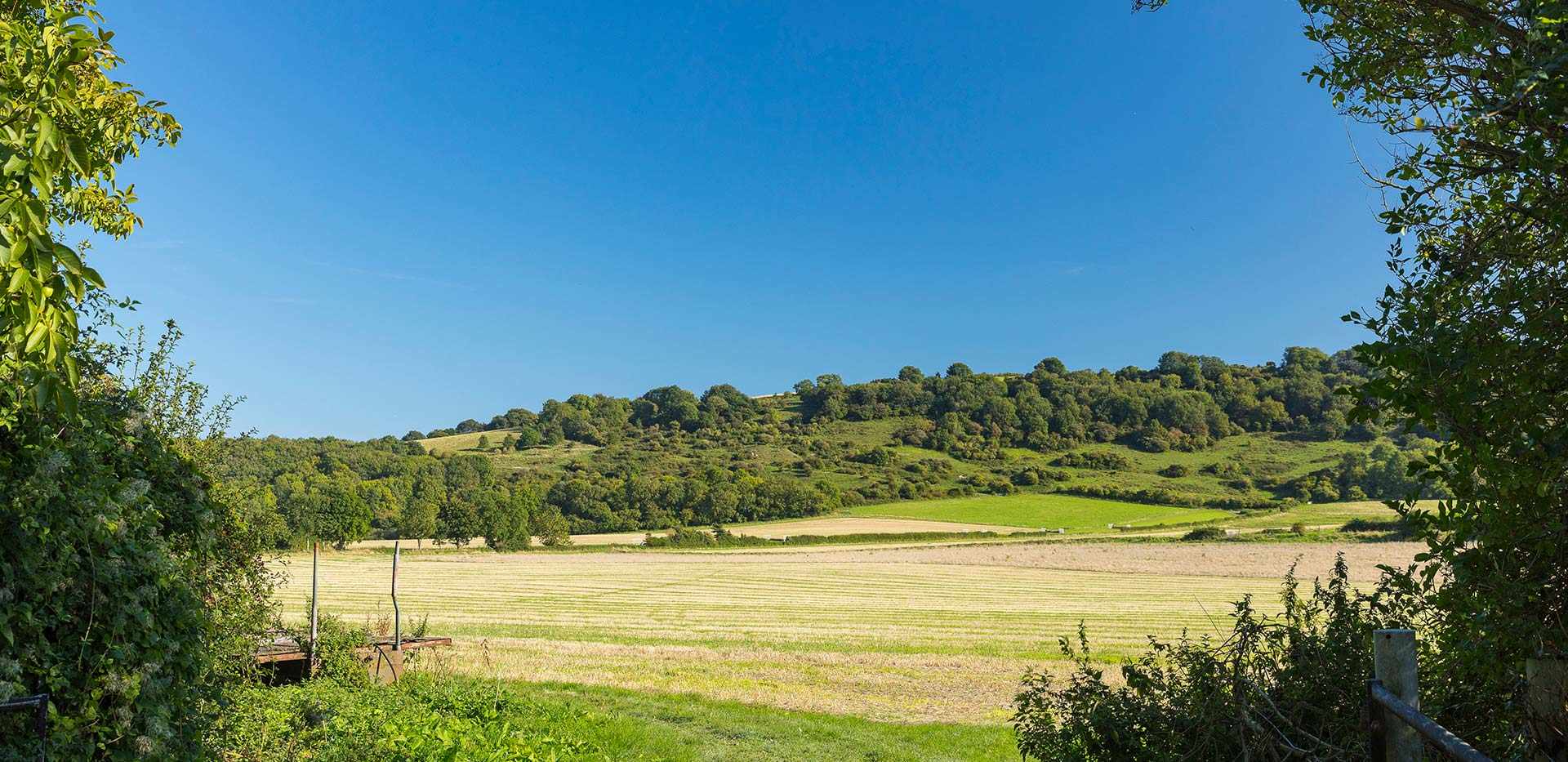 Berkeley, Barleycroft, Local Area