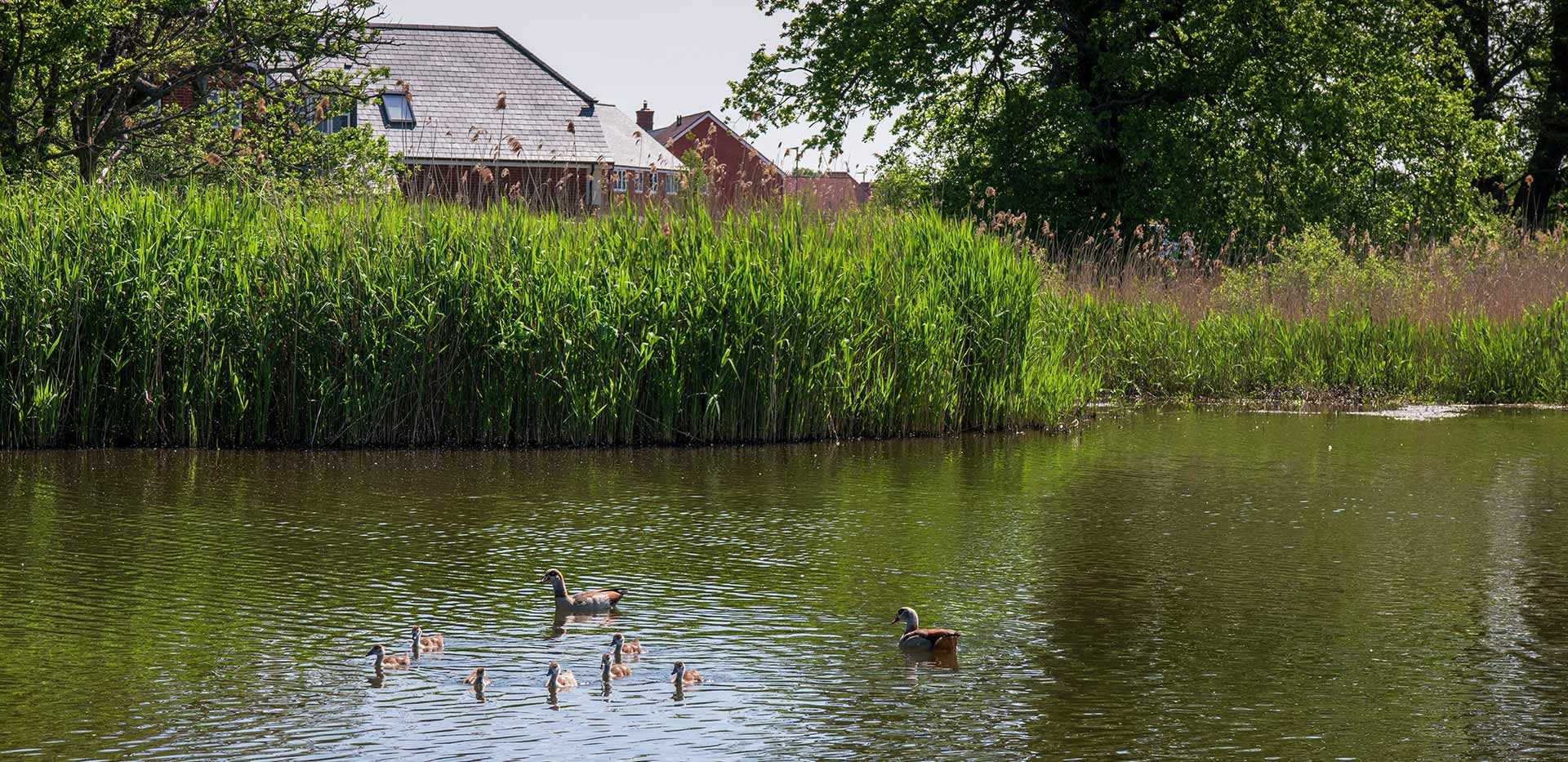 Berkeley, Edenbrook Village, Development Exterior