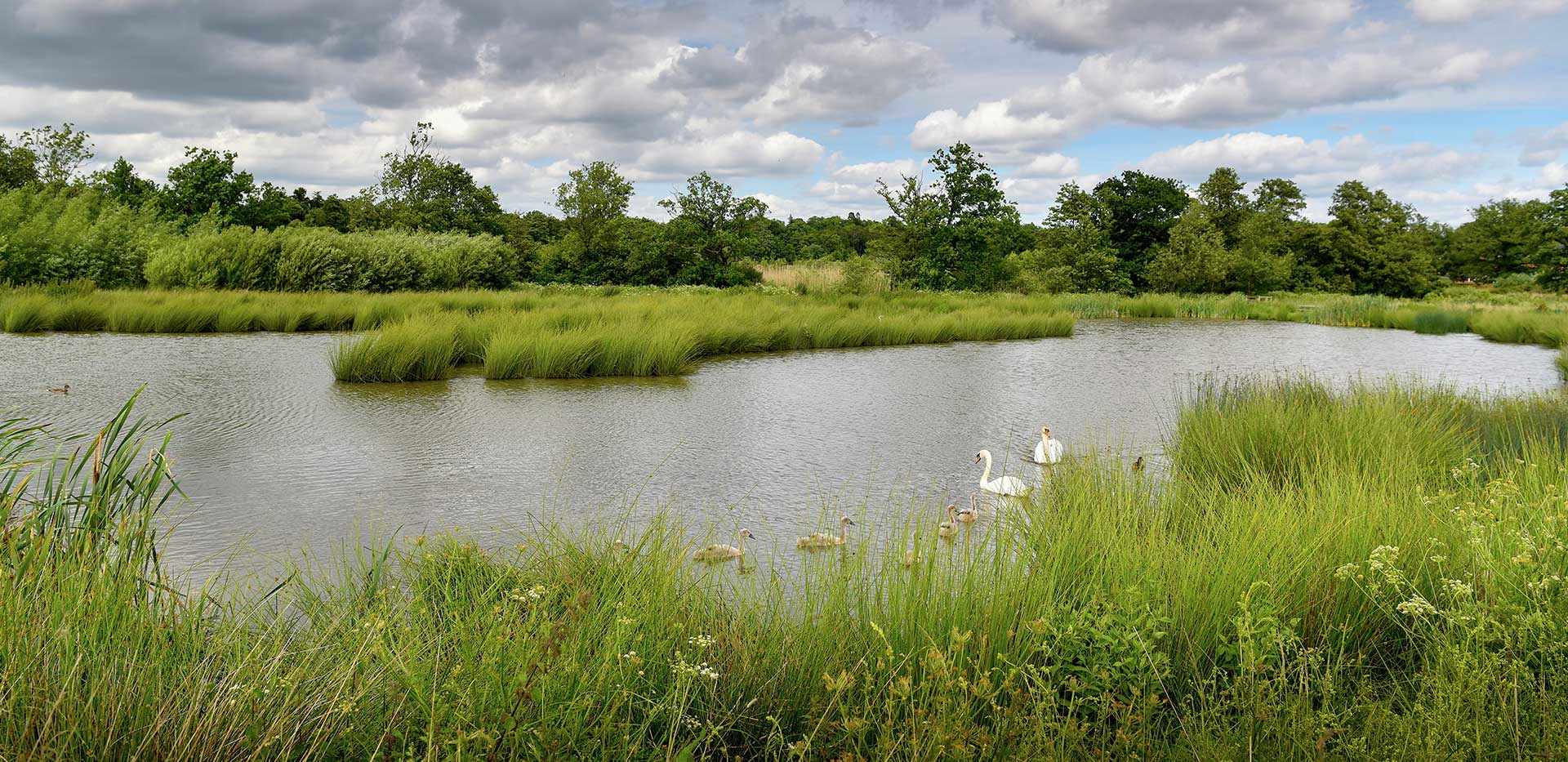 Berkeley, Edenbrook Village, Country Park