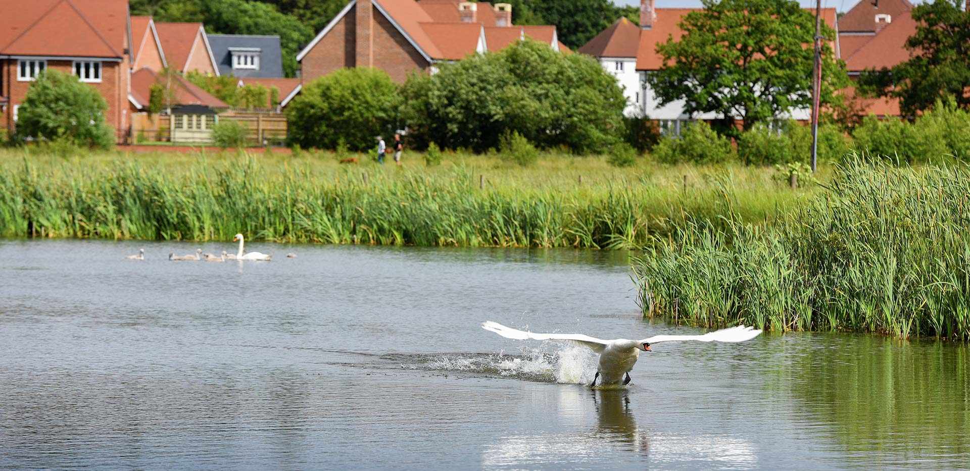 Berkeley, Edenbrook Village, Country Park