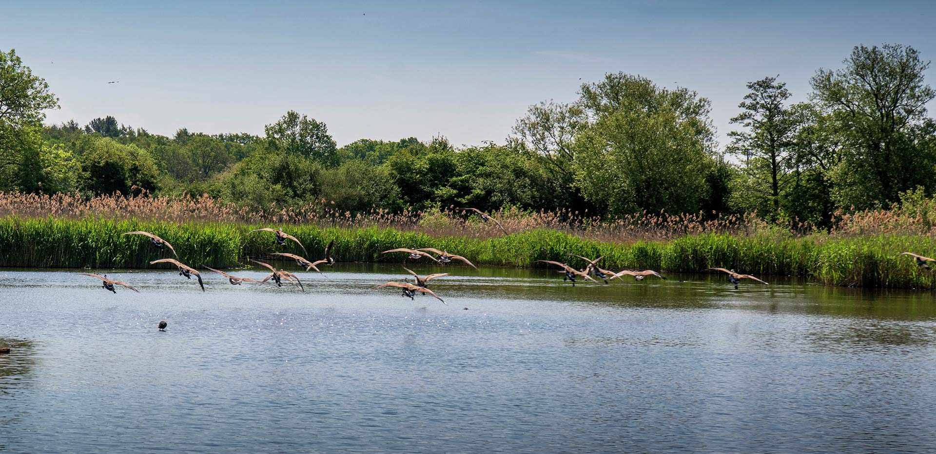 Berkeley, Edenbrook Village, Country Park