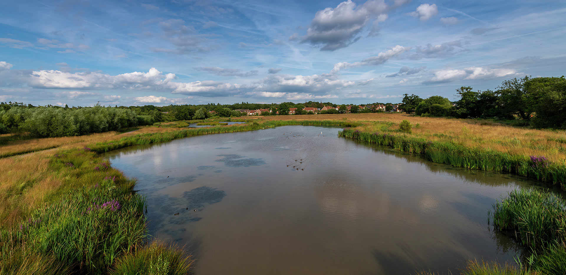Berkeley, Edenbrook Village, Country Park