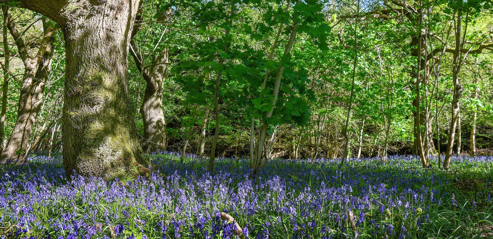 Berkeley, Princes Chase, Exterior