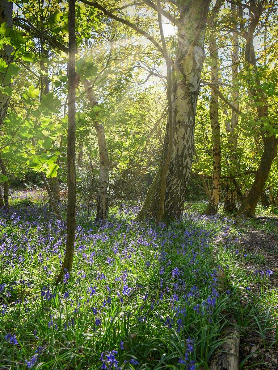 Berkeley, Princes Chase, Exterior