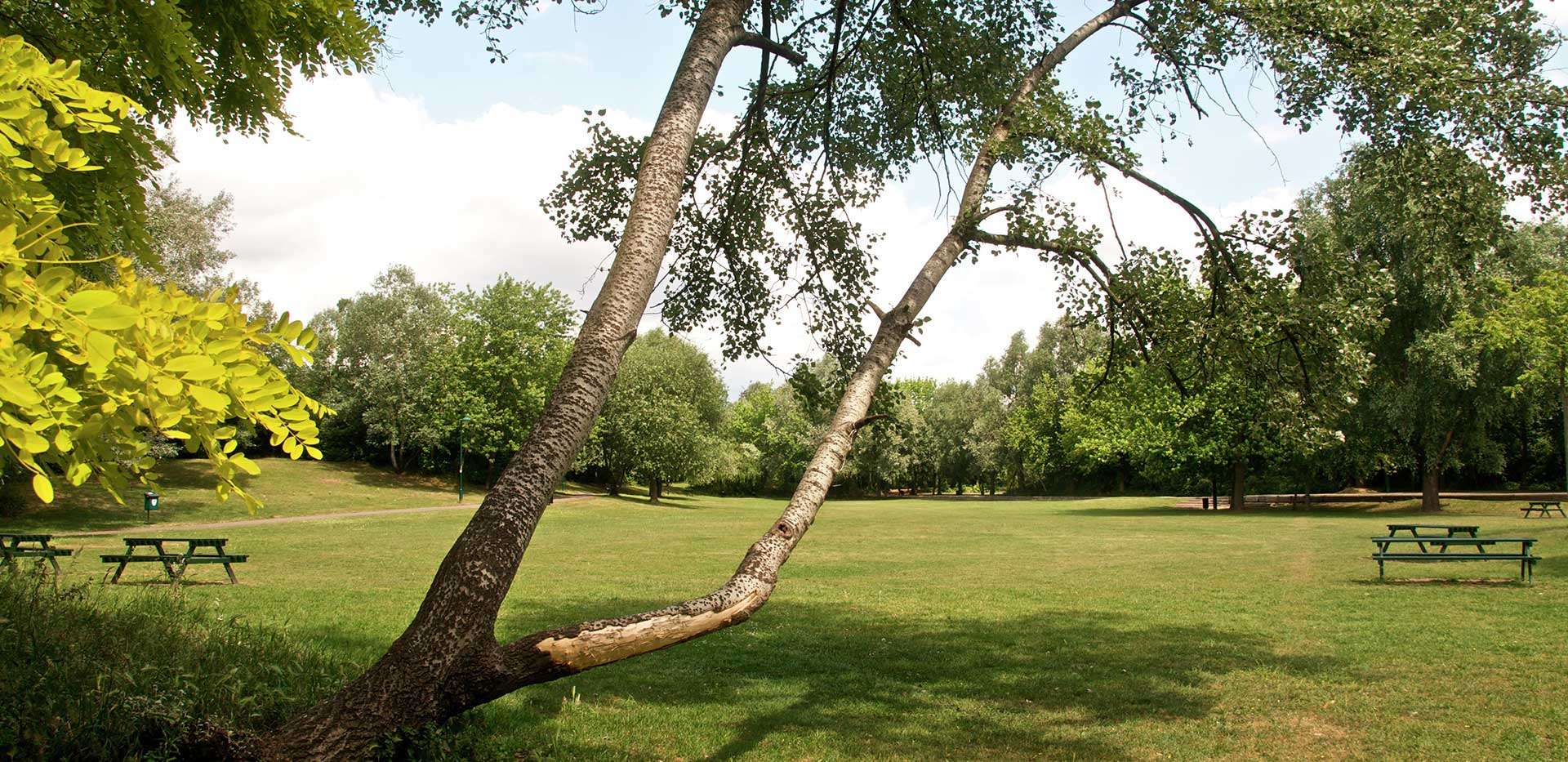 Berkeley, Marine Wharf, Local Area, Park