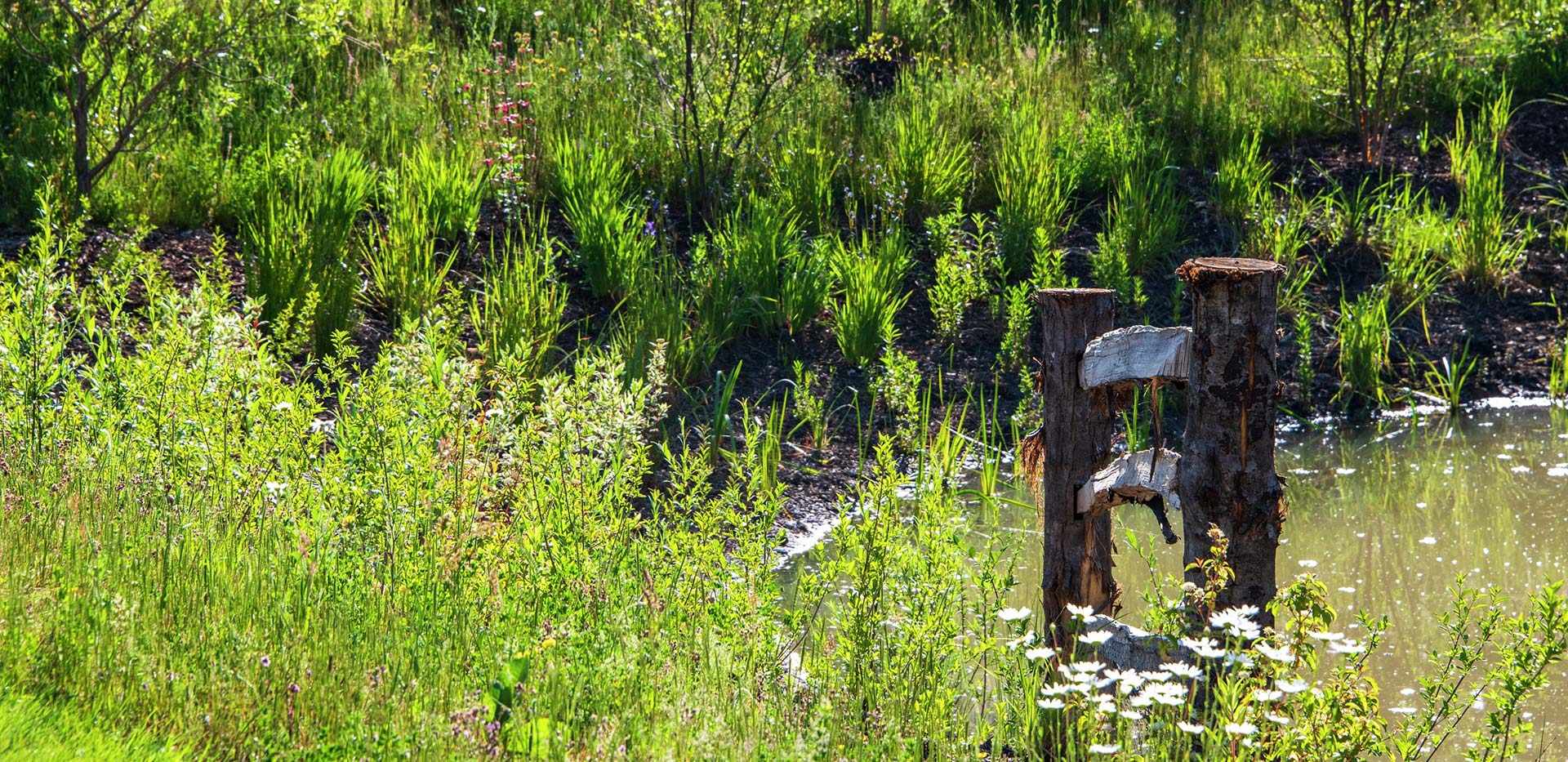 Berkeley, Barleycroft, Exterior