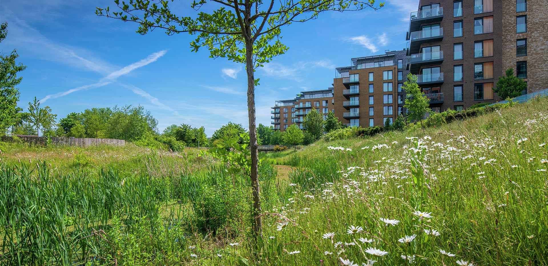 Berkeley, Kidbrooke Village, Parkland